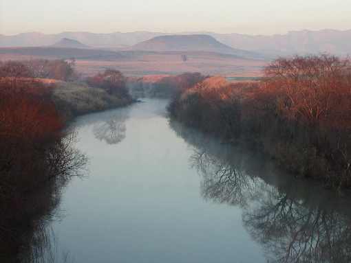 ubojnia drobiu Wielkopolska