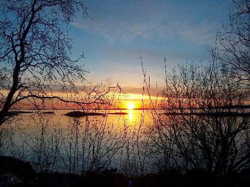 ubojnia kur województwo lubelskie