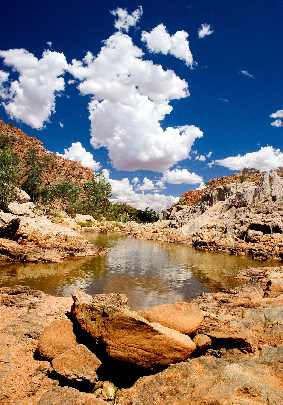 ubojnia drobiu strona www