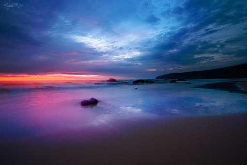 lubelskie ubojnie drobiu