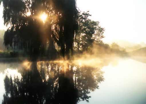 ubojnia drobiu Wielkopolskie