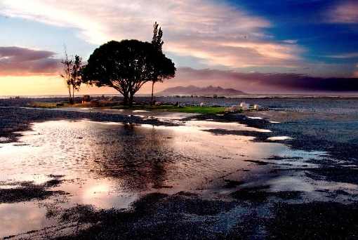 Koszalin hurtownia drobiu