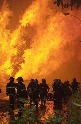 województwo śląskie ubojnia drobiu