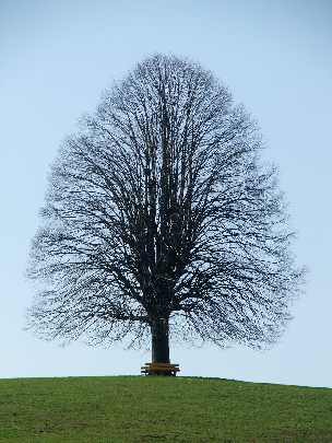 województwo warmińsko mazurskie ubojnie kurczaków