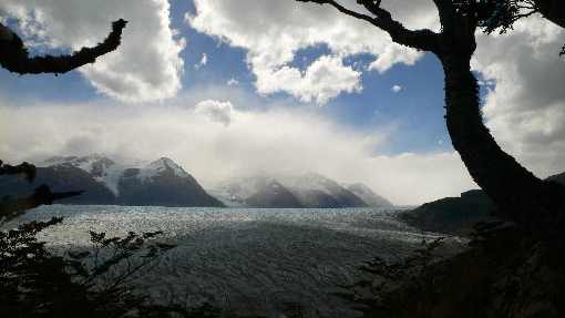 polecana ubojnia drobiu Wielkopolska