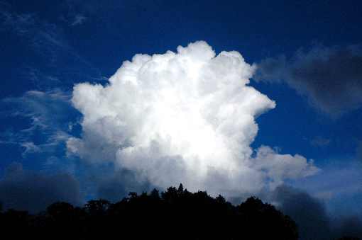 województwo lubelskie ubojnia kur