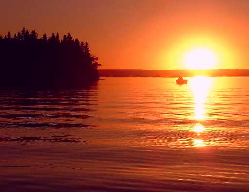 ubojnie drobiu województwo warmińsko mazurskie