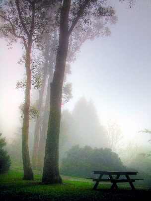 ubojnie drobiu pomorskie
