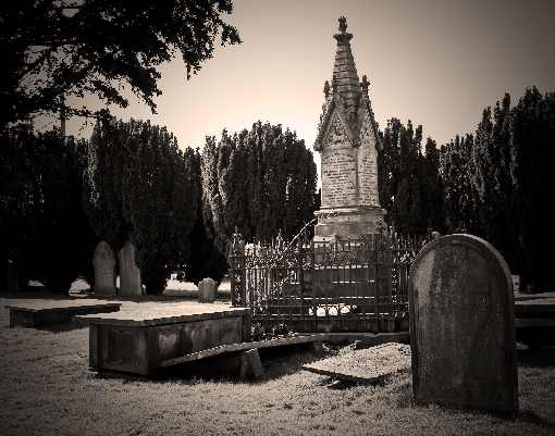 ubojnia drobiu popularna