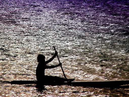województwo warmińsko mazurskie ubojnie kurczaków