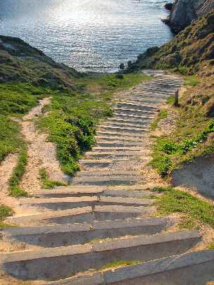 rzeźnie drobiu województwo wielkopolskie