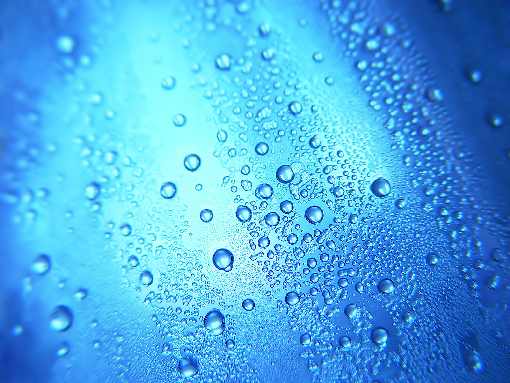 rzeźnia kurczaków województwo lubelskie