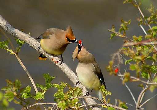 województwo warmińsko mazurskie ubojnia drobiu