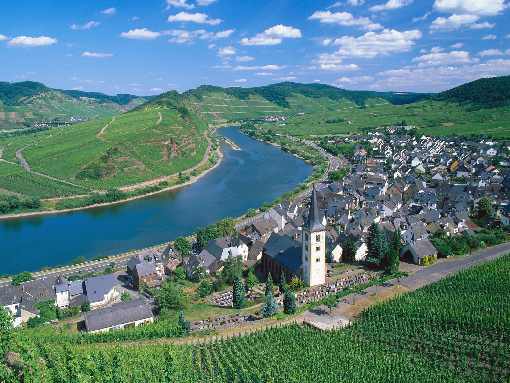 ubojnia drobiu Bytów