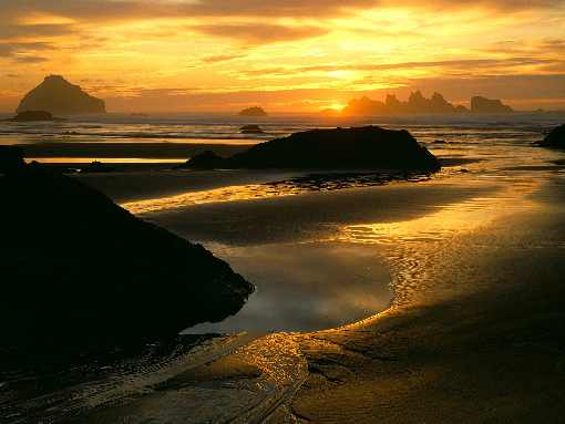 najlepsza ubojnia drobiu