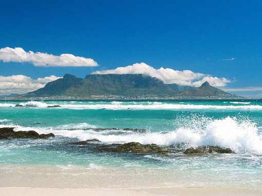 Toruń kurczak hurtownia