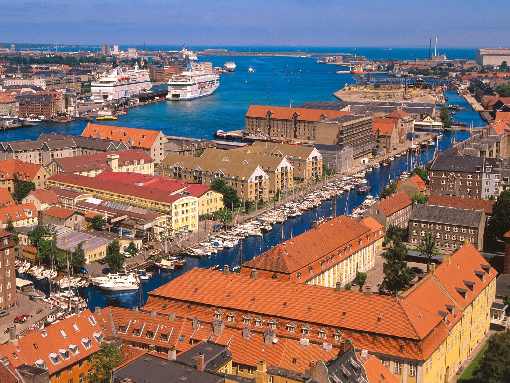 kurczaki hurt Rydzyna