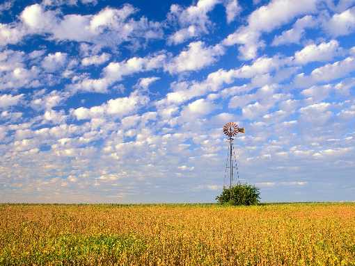 woj. wielkopolskie rzeźnie drobiu