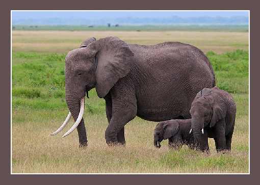 ubojnia kur woj. kujawsko pomorskie