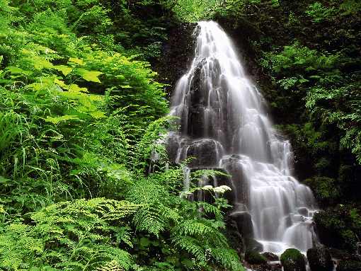 ubojnia drobiu Wielkopolskie