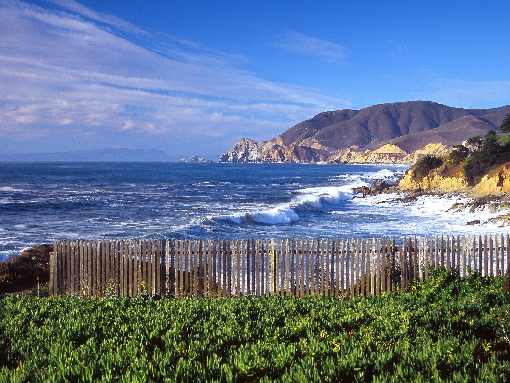 Chrustowo ubojnia kurczaków