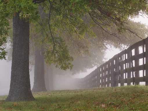 ubojnia drobiu Piła