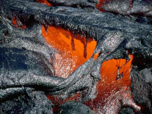 dobra ubojnia drobiu