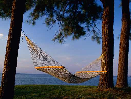 ubojnia drobiu Piła