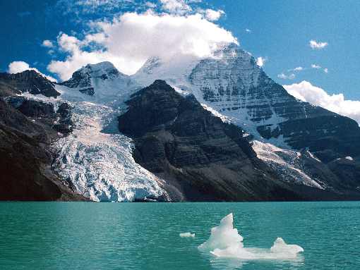 ubojnie drobiu Wielkopolska