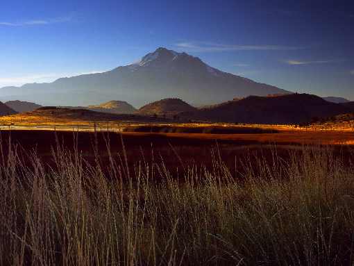 pierś z kurczaka Koszalin