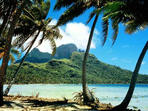 ubojnie drobiu Wielkopolska