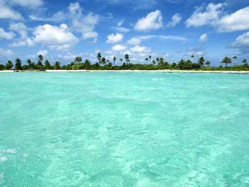 hurtownia drobiu Krzyż Wielkopolski