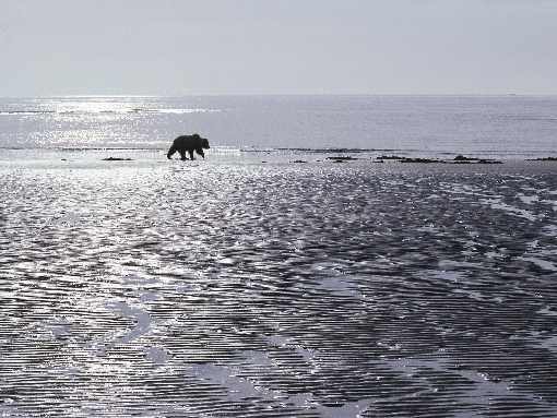 Wielkopolska Ubojnia drobiu