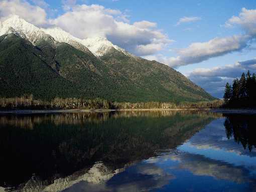 piersi z kurczaka Bydgoszcz