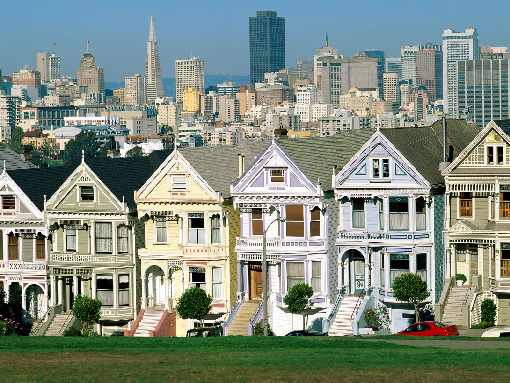 dystrybucja kurczaków Koszalin