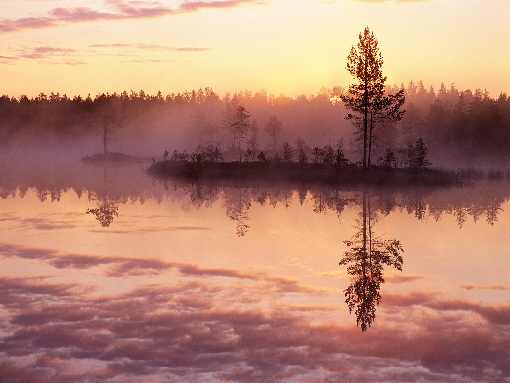 łódzkie ubojnia kurczaków