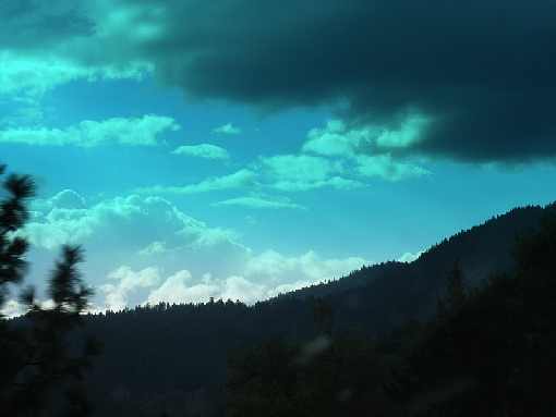 ubojnie kurczaków dolnośląskie