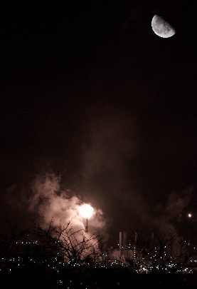 ubojnia drobiu Szprotawa