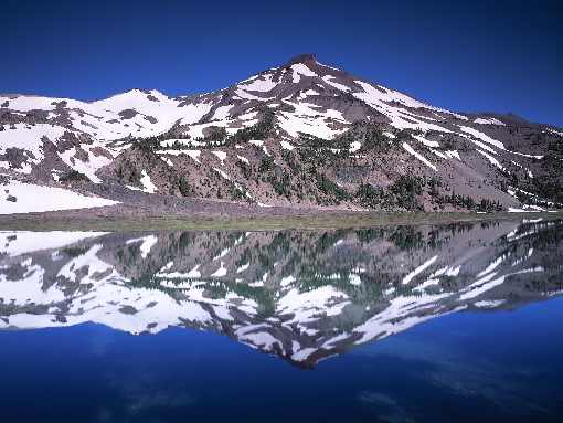 ubojnie kur łódzkie