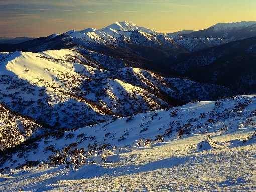 ubojnie drobiu Wielkopolska