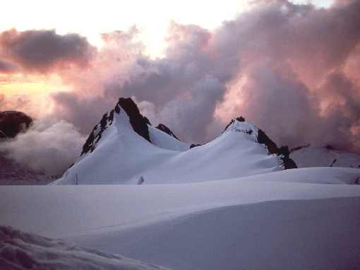 ubojnia drobiu Wielkopolska