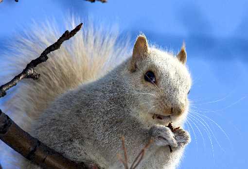 ubojnia drobiu cennik