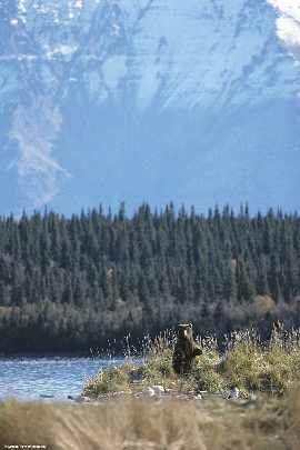 Wielkopolska ubojnia drobiu