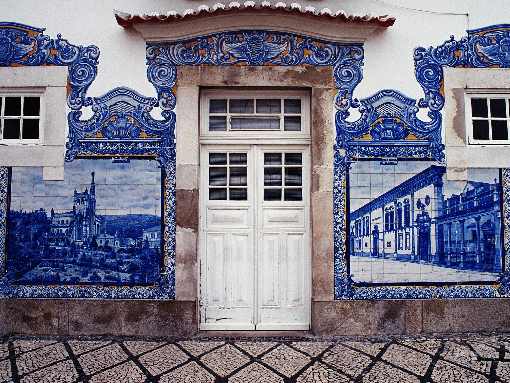 hurtownia kurczaków Przedecz