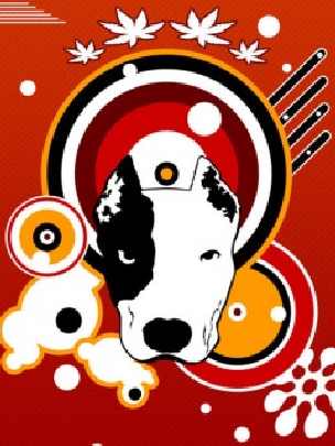 polecana ubojnia drobiu