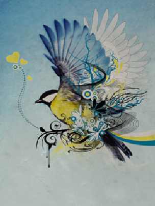 Toruń filety z kurczaka