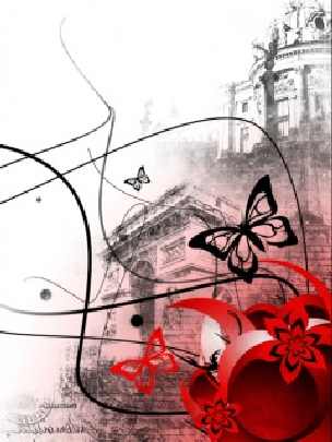 województwo warmińsko mazurskie ubojnie kur