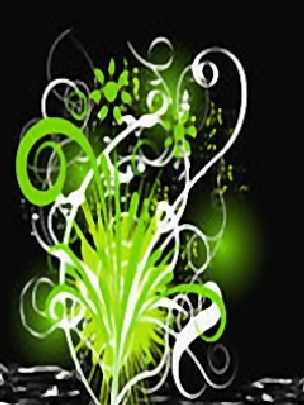 najpopularniejsza ubojnia drobiu