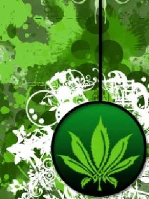 śląskie ubojnie kurczaków