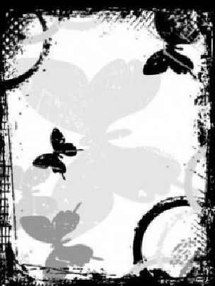 świętokrzyskie ubojnia kurczaków